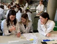 Proteinrecycling in der Zelle – Vienna Open Lab